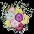 fleurs et nature (90)
